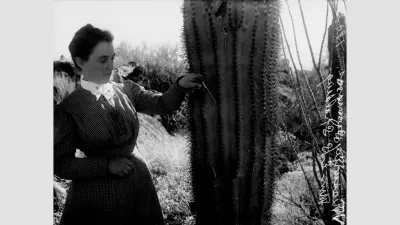 Effie Southworth Spalding