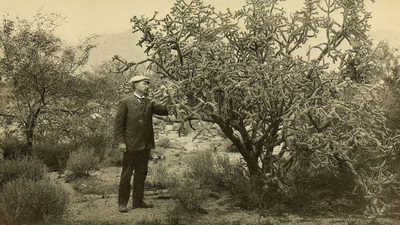 Daniel T. MacDougal