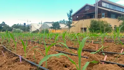 Plant Biology Building