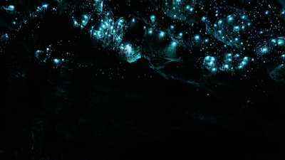 Glow worms in the Okupata