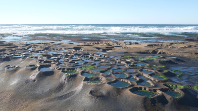 Tidepool formation in La Jolla, California