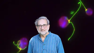 Arthur Grossman on a background of Chlamydomonas