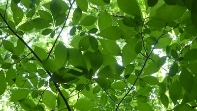 Photo by Karin Kim on Unsplash