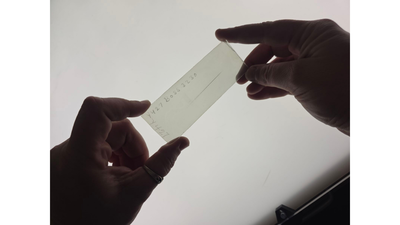 Lasby Plate over Lightbox