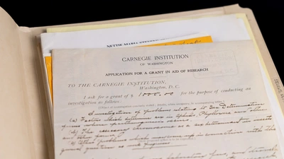 Nettie Stevens Grant in Folder