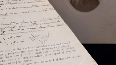 A closer look at nettie Stevens' signature and portrait. 