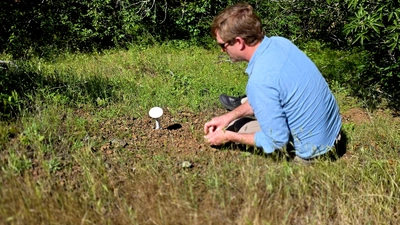 Jeffrey Dukes cleans the area around one of his sensors, which is placed on a sunny hillside in Jasper Ridge. 