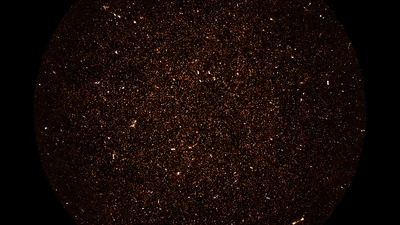 MeerKAT image of radio galaxies: Thousands of galaxies are visible in this radio image covering a square degree of sky near the south celestial pole, made by the MeerKAT radio telescope array in South Africa. 