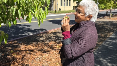 Devaki Bhaya with a camphor tree. Courtesy: Carnegie Science.