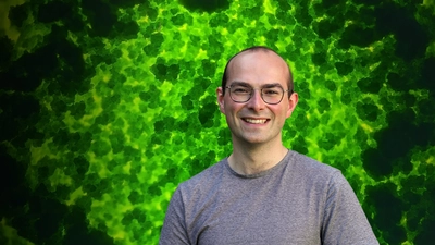 Adrien Burlacot - Algae header image
