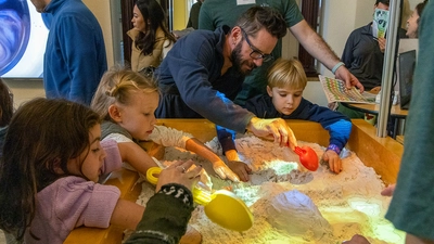 Sandbox Simulations