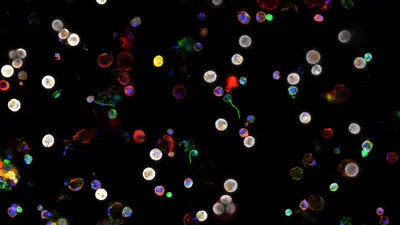 "Little Lights in the Night" 