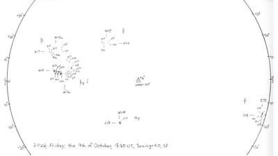Padilla Sunspot Drawing