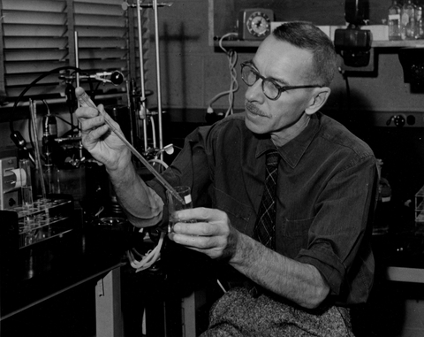 Alfred Hershey at work in his laboratory.