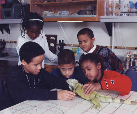 First Light students in the lab examining Iggy, the iguana.