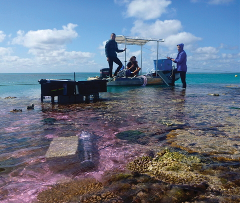 Researchers conducting coral research off of One Tree Island.