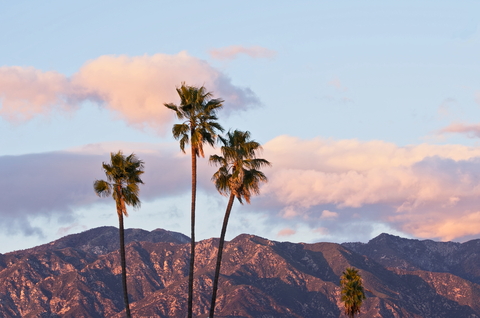 Palm trees in front of the San Gabriel Mountains