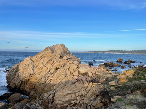 Marine coastline by Isabella Smith via Unsplash