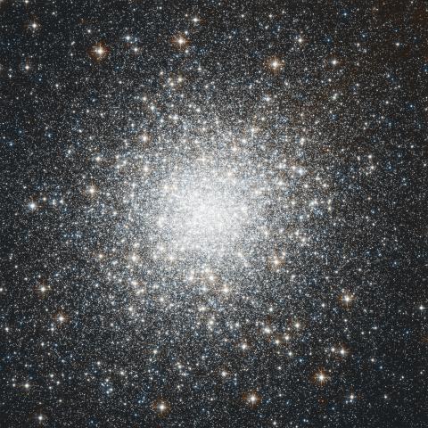 Hubble Space telescope image of the globular cluster M2. Credits: NASA, ESA, STScI, and A. Sarajedini (University of Florida)