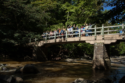 Postdocs and scientists cheer on Rapids Bridge in Rock Creek Park during Postdoc Appreciation Day