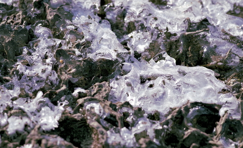 ice-crystals-3425159_1920.jpg