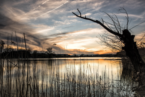 Lake, Grass, Sunset image