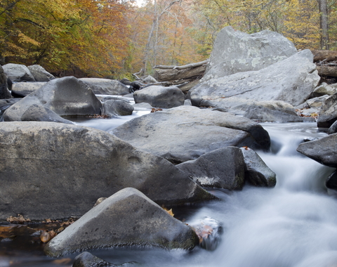 Rock Creek Park - Boulder in Creek - Fall Foliage - Photo  Katy Cain