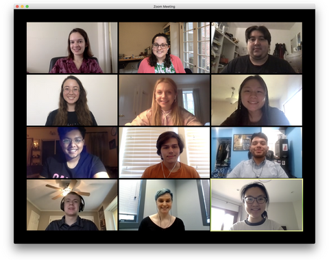 The 2020 CASSI cohort on Zoom