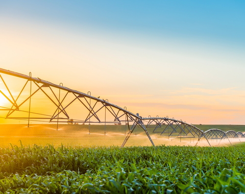Irrigation being deployed in a field. Image purchased from Shutterstock.
