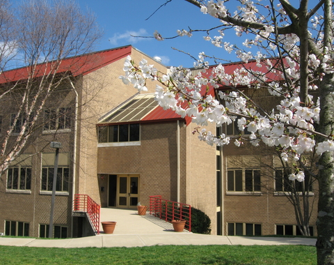 Cherry blossoms outside the Abelson Building on the BBR campus.