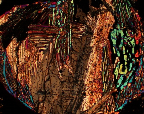 Interior slice of a meteorite courtesy of Nicole Nie. 