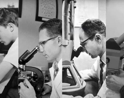 Joseph Gall at the microscope