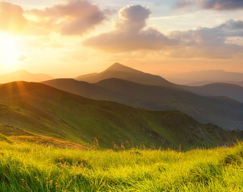 The sun rises over a mountain meadow.