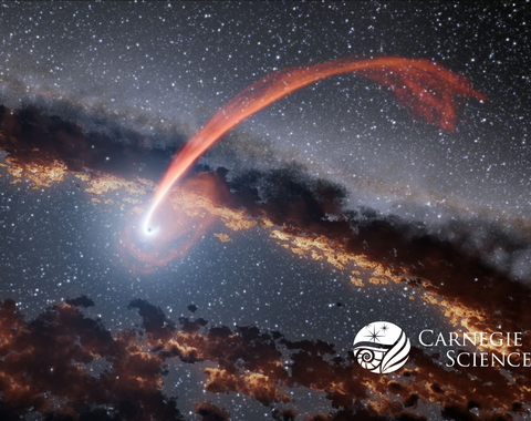 The tidal stripping of a star close to the central black hole of a galaxy (artist's rendition)