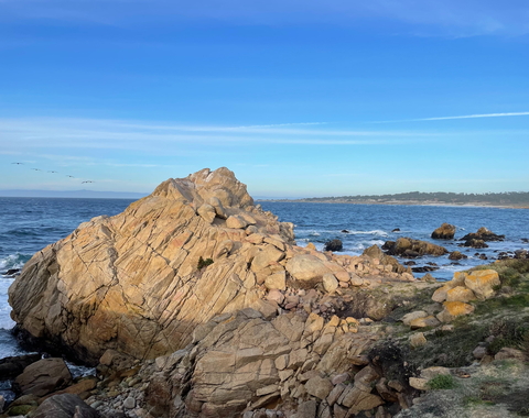 Marine coastline by Isabella Smith via Unsplash