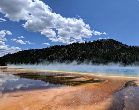 Hot spring microbial mat by Seth Cottle via Unsplash. 