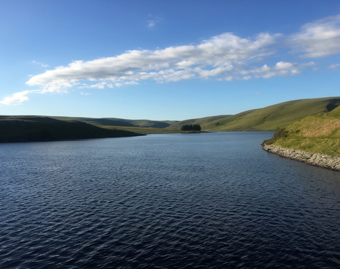 Freshwater reservoir by Sian Bentley-Magee via Unsplash.