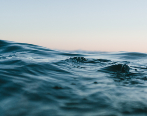 Water close-up courtesy of Unsplash