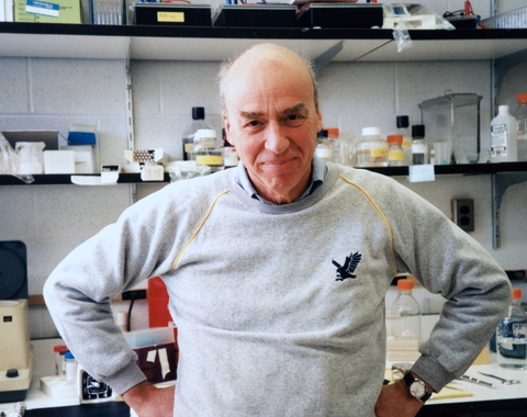 Donald Brown in the lab in 1995, when his group pivoted to studying the genetics underpinning the transformation of tadpoles into frogs. Photo is courtesy of the Carnegie Institution for Science.