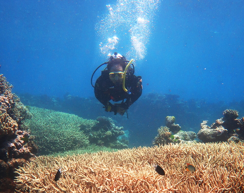Carnegie’s Phillip Cleves scuba diving on the Great Barrier Reef in Australia. Cleves uses cutting-edge biology techniques to better understand the risks coral face due to climate change.  Photo is courtesy of Amanda Tinoco.