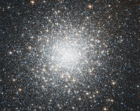 Hubble Space telescope image of the globular cluster M2. Credits: NASA, ESA, STScI, and A. Sarajedini (University of Florida)