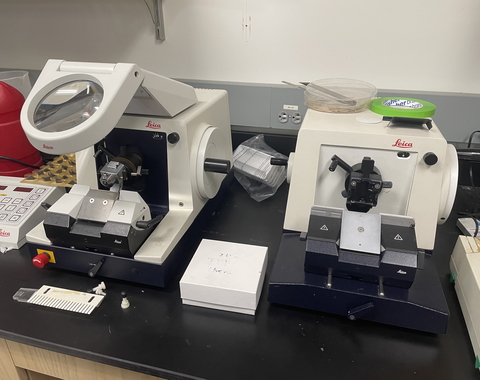 Microtomes