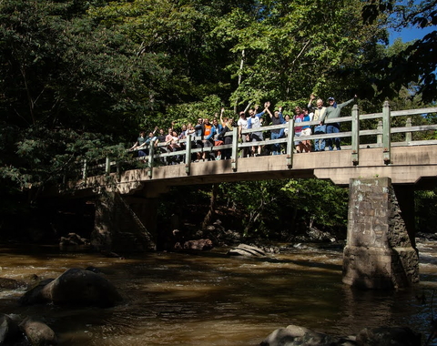 Postdocs on a Bridge