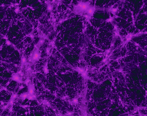 Dark Matter Visualization