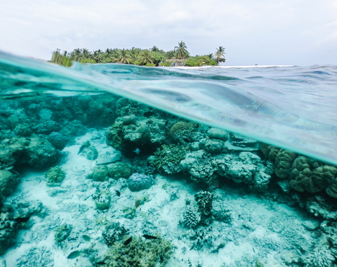 A coral reef seen underwater and an island seen above water. 