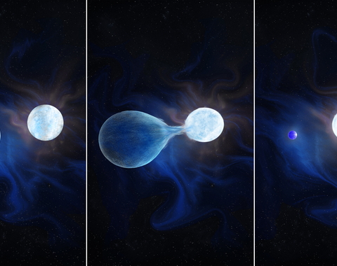 An artist’s conception of the hydrogen being stripped from one half of a binary system, leaving a very hot, helium rich exposed core that will eventually explode as a hydrogen-poor core collapse supernova. Credit: by Navid Marvi, courtesy of the Carnegie Institution for Science. 