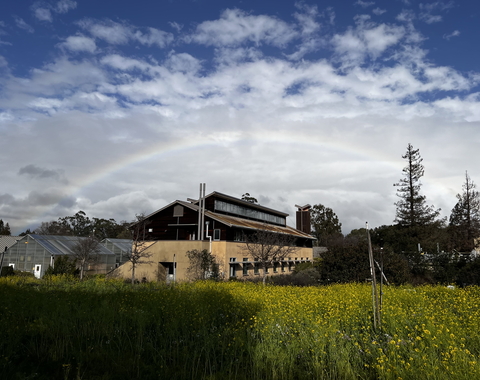 Department of Global Ecology building and greenhouses with a rainbow overhead. 