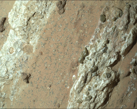 NASA’s Perseverance rover discovered “leopard spots” on a reddish rock nicknamed “Cheyava Falls” in Mars’ Jezero Crater in July 2024. Scientists think the spots may indicate that, billions of years ago, the chemical reactions in this rock could have supported microbial life; other explanations are being considered. NASA/JPL-Caltech