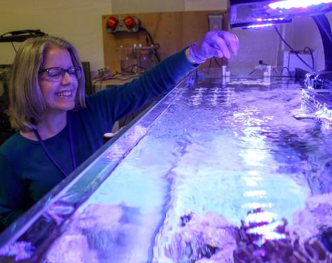 Lynne Hugendubler feeding fish