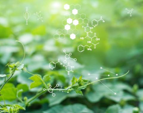 Biochemical landscape